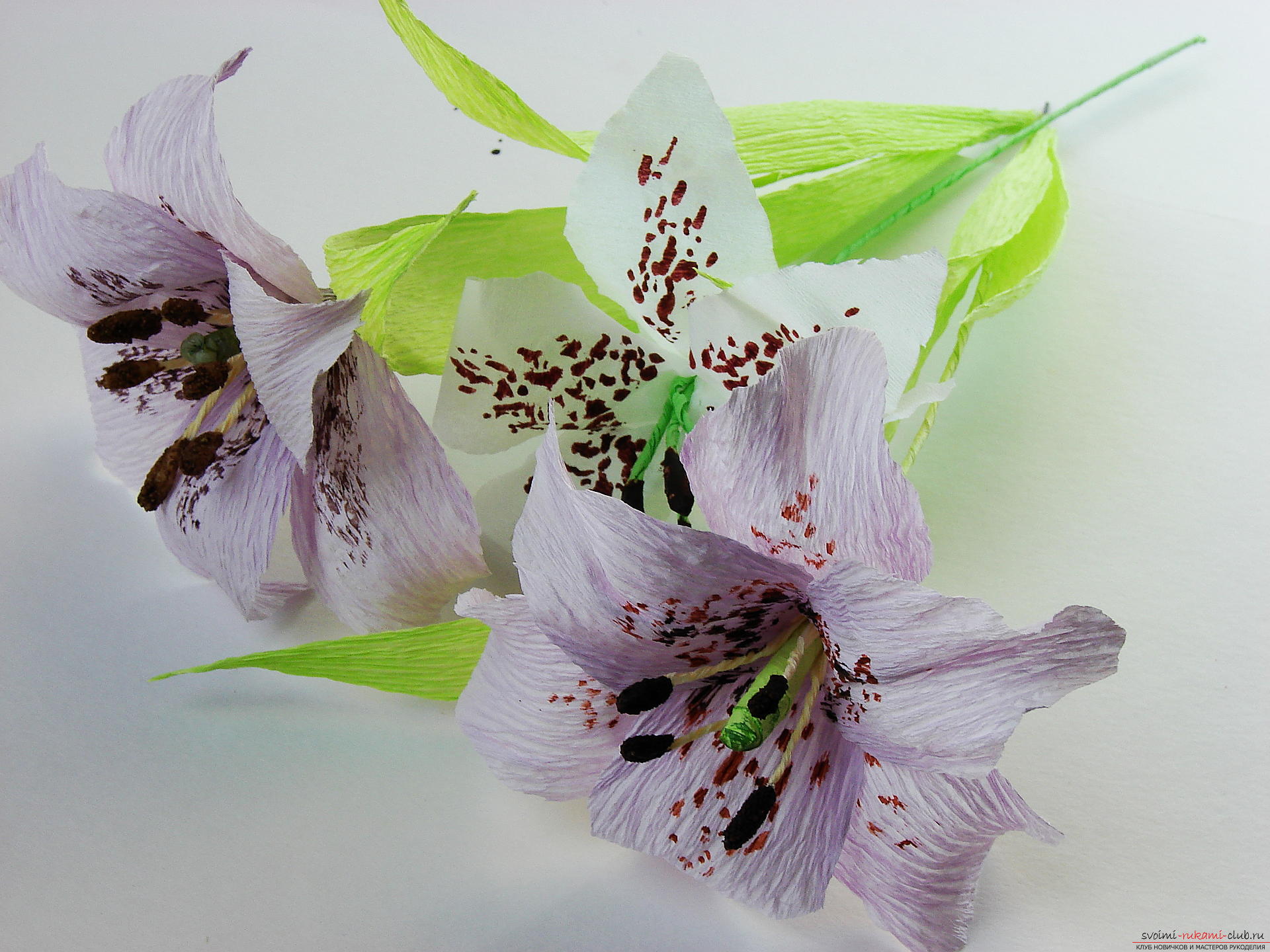 Мастер-класс научит как сделать гофрированные цветы своими руками – лилии из гофрированной бумаги.. Фото №1